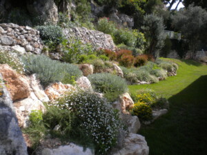 Sarl Acpm AMENAGEMENT PAYSAGER ROQUEBRUNE CAP MARTIN DSCN1412 1